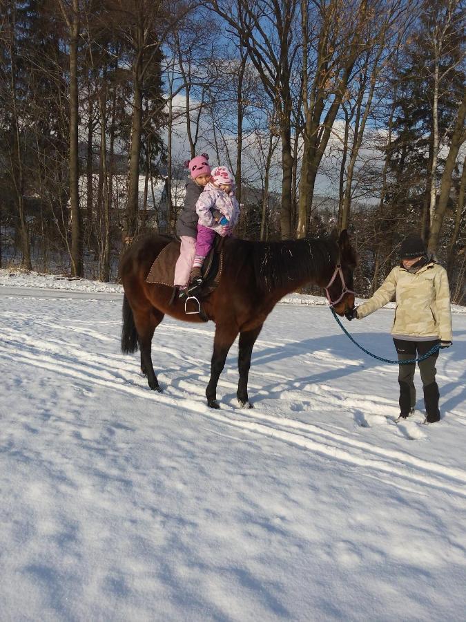 Frýdlant nad Ostravicí U Ponocneho Pod Ondrejnikemヴィラ エクステリア 写真